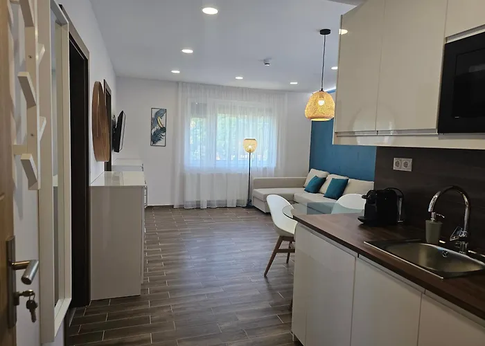 Nature Spring Deluxe Apartmants Zalakaros